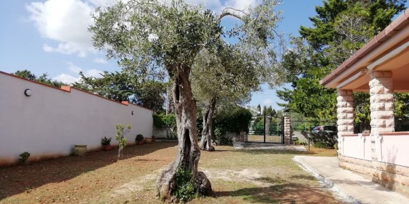 photo 22 Owner direct vacation rental Alghero villa Sardinia Sassari Province Garden