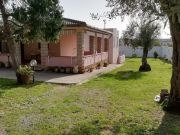 Sassari Province vacation rentals for 5 people: villa # 59944