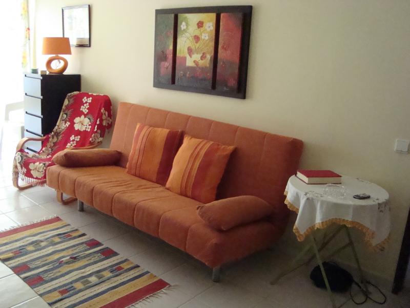 photo 7 Owner direct vacation rental Albufeira appartement Algarve  Lounge