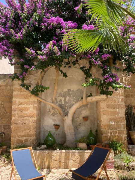 photo 21 Owner direct vacation rental Santa Maria al Bagno appartement Puglia Lecce Province Garden