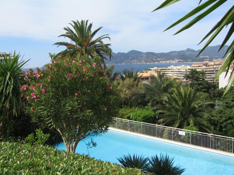 photo 6 Owner direct vacation rental Cannes appartement Provence-Alpes-Cte d'Azur Alpes-Maritimes Swimming pool