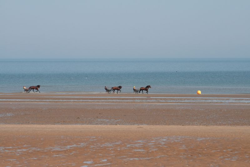 photo 14 Owner direct vacation rental Cabourg appartement Basse-Normandie Calvados Beach
