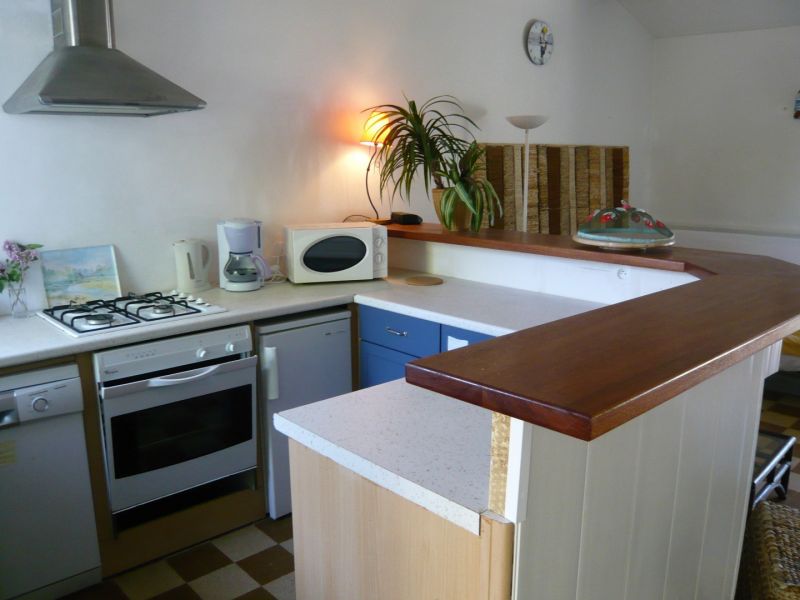 photo 4 Owner direct vacation rental Saint Georges d'Olron maison Poitou-Charentes Charente-Maritime Open-plan kitchen