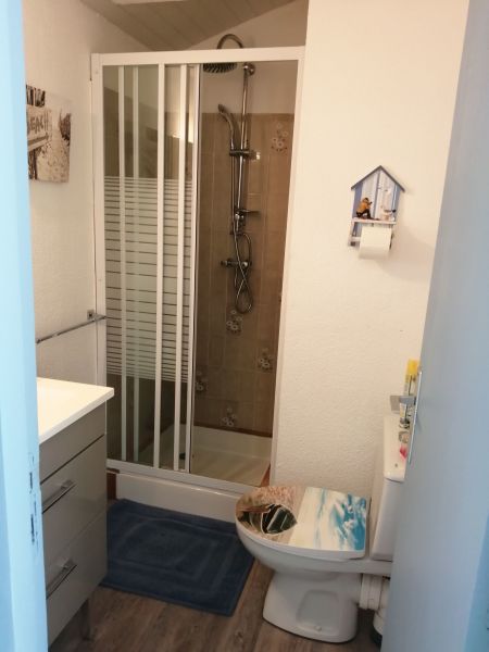 photo 10 Owner direct vacation rental Biscarrosse studio Aquitaine Landes Half bath