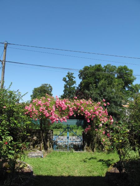 photo 18 Owner direct vacation rental Royan maison Poitou-Charentes Charente-Maritime Garden