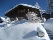 mountain and ski rentals: chalet # 742