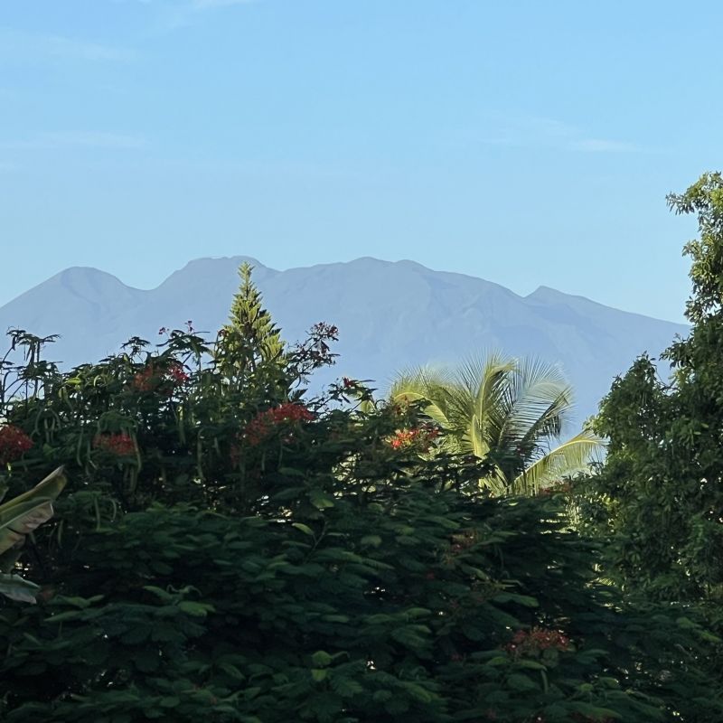 photo 7 Owner direct vacation rental Le Gosier (Guadeloupe) studio Grande Terre  View from the balcony