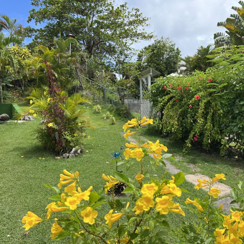 photo 13 Owner direct vacation rental Le Gosier (Guadeloupe) studio Grande Terre  Garden