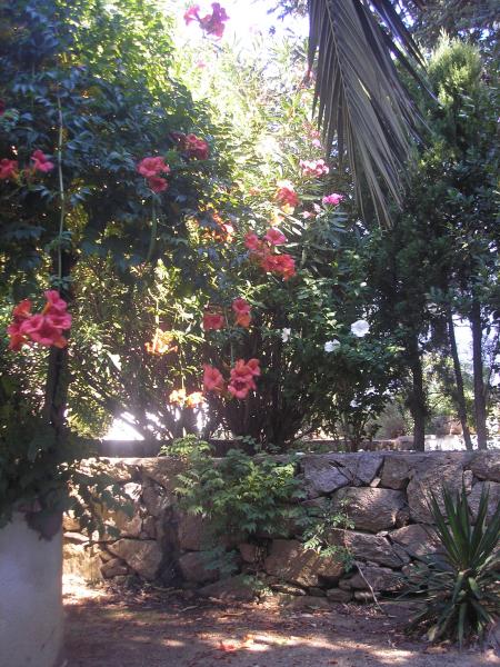 photo 13 Owner direct vacation rental Rosas appartement Catalonia Girona (province of) Garden