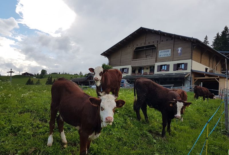 photo 7 Owner direct vacation rental La Clusaz appartement Rhone-Alps Haute-Savoie