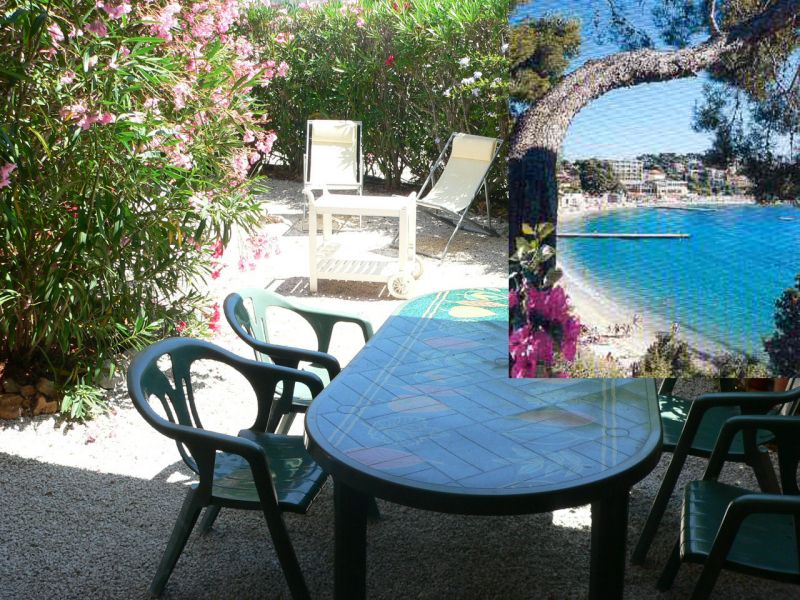 photo 0 Owner direct vacation rental Bandol appartement Provence-Alpes-Cte d'Azur Var Garden