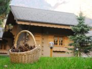 Annecy vacation rentals: chalet # 845