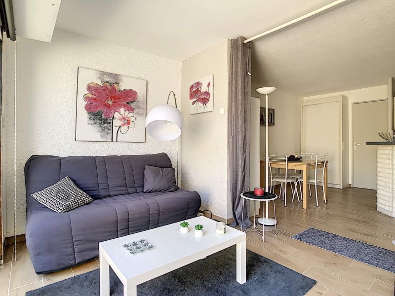 photo 3 Owner direct vacation rental Saint Cyprien appartement Languedoc-Roussillon Pyrnes-Orientales Lounge