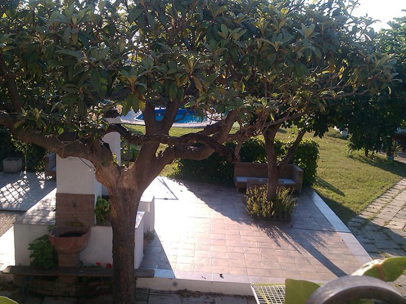 photo 10 Owner direct vacation rental Ortona appartement Abruzzo Chieti Province View from the terrace