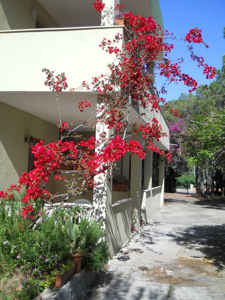 photo 4 Owner direct vacation rental Posada appartement Sardinia Nuoro Province View of the property from outside