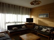 Alpe D'Huez mountain and ski rentals: appartement # 111741