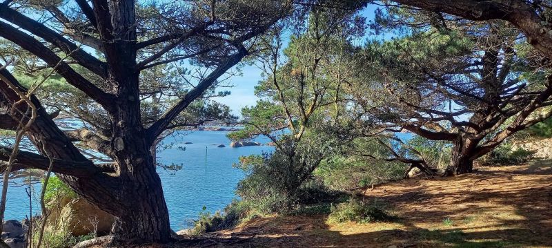 photo 21 Owner direct vacation rental Perros-Guirec appartement Brittany Ctes d'Armor Surroundings