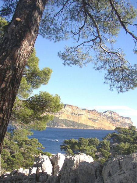 photo 8 Owner direct vacation rental Cassis appartement Provence-Alpes-Cte d'Azur Bouches du Rhne Other view