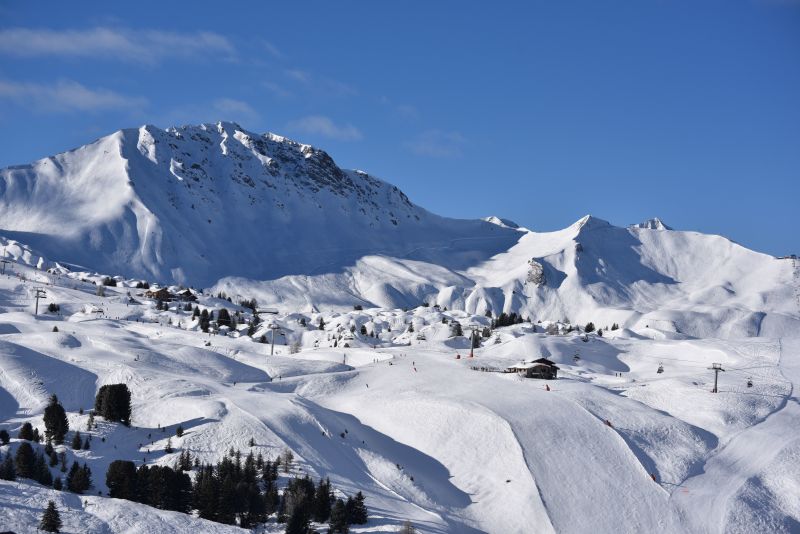 photo 9 Owner direct vacation rental La Plagne appartement Rhone-Alps Savoie View from the terrace