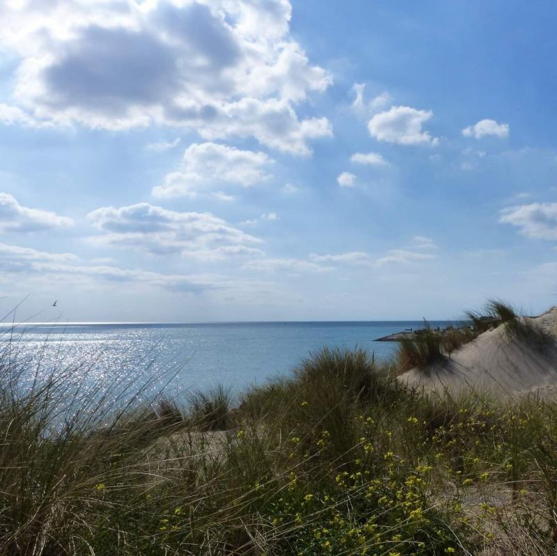 photo 8 Owner direct vacation rental Berck-Plage appartement Nord-Pas de Calais Pas de Calais Surroundings