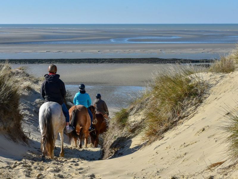 photo 13 Owner direct vacation rental Berck-Plage appartement Nord-Pas de Calais Pas de Calais Surroundings