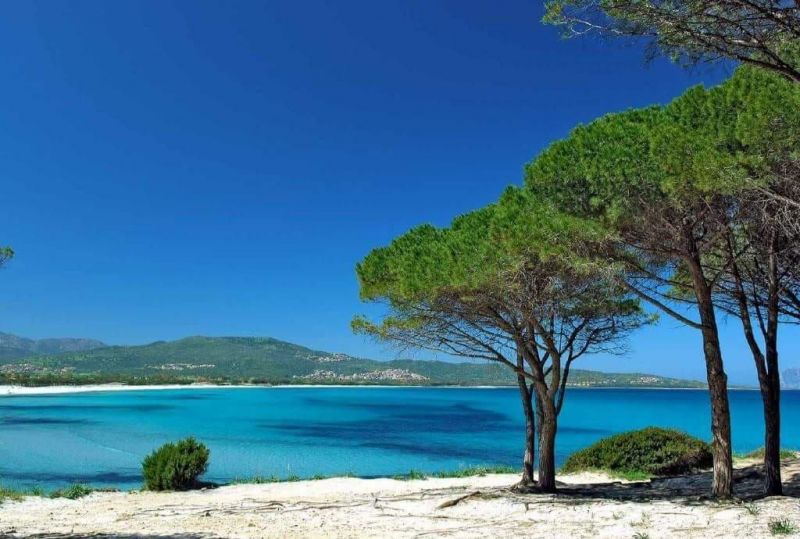 photo 13 Owner direct vacation rental Budoni appartement Sardinia Olbia Tempio Province Beach