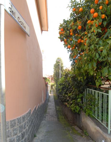 photo 7 Owner direct vacation rental Taggia appartement Liguria Imperia Province Surroundings