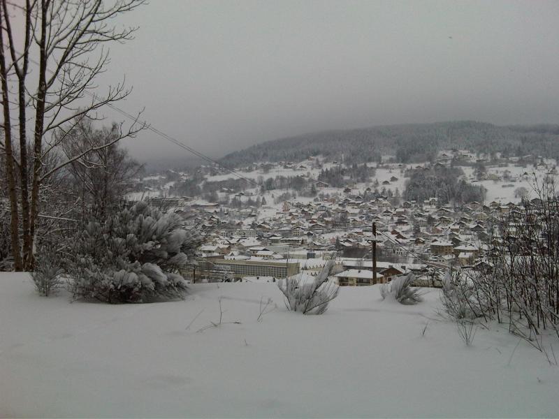 photo 11 Owner direct vacation rental Grardmer appartement Lorraine Vosges View from the property