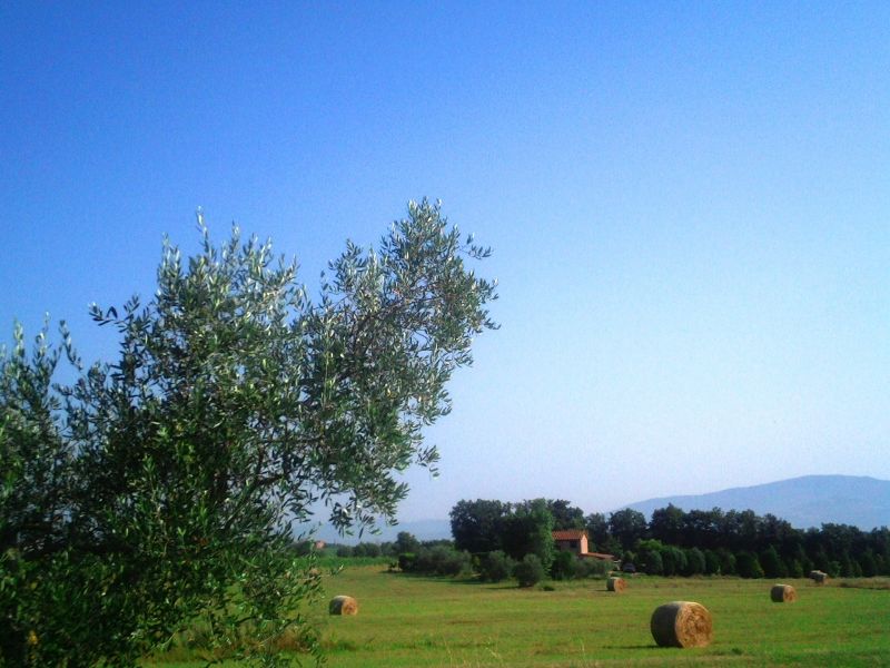 photo 23 Owner direct vacation rental Cortona maison Tuscany Arezzo Province View of the property from outside