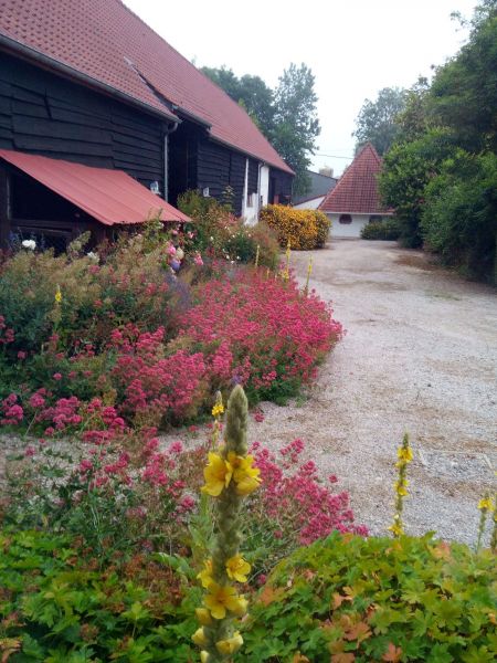 photo 25 Owner direct vacation rental Sangatte/Blriot-Plage gite Nord-Pas de Calais Pas de Calais View from the property