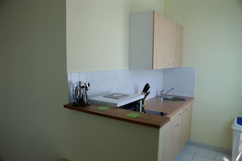 photo 4 Owner direct vacation rental Concarneau studio Brittany Finistre Kitchenette