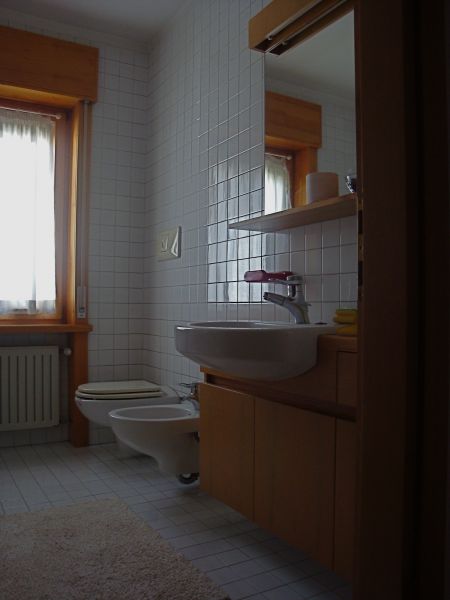 photo 6 Owner direct vacation rental Auronzo di Cadore appartement Veneto Belluno Province bathroom 2