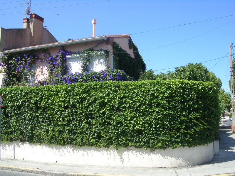 photo 0 Owner direct vacation rental Perpignan maison Languedoc-Roussillon Pyrnes-Orientales View of the property from outside