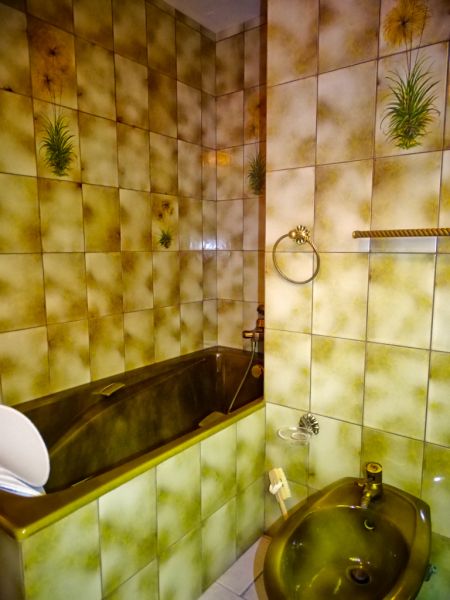 photo 22 Owner direct vacation rental Besse - Super Besse villa Auvergne Puy-de-Dme bathroom 1