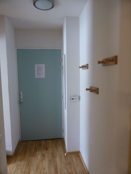 photo 7 Owner direct vacation rental Bagnres-de-Luchon appartement Midi-Pyrnes Haute Garonne Hall