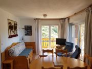 ski in/ski out vacation rentals: appartement # 122776