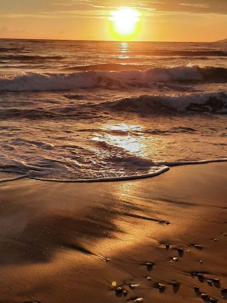 photo 11 Owner direct vacation rental Pisciotta studio Campania Salerne Province Beach