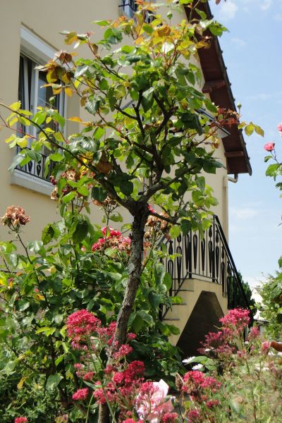 photo 12 Owner direct vacation rental Grandcamp-Maisy gite Basse-Normandie Calvados View of the property from outside