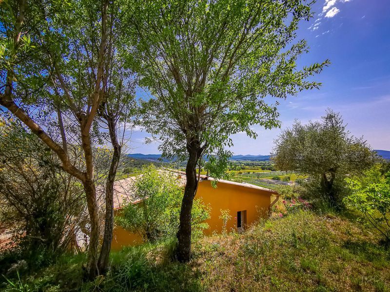 photo 4 Owner direct vacation rental Cuers studio Provence-Alpes-Cte d'Azur Var Garden
