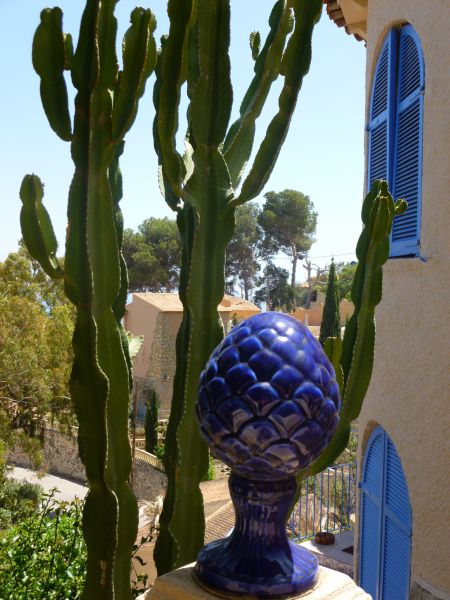 photo 18 Owner direct vacation rental Calpe villa Valencian Community Alicante (province of) Garden