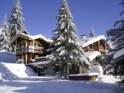 mountain and ski rentals: chalet # 77938