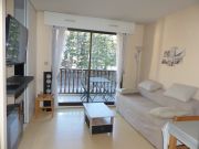 Midi-Pyrnes vacation rentals: studio # 80914