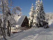 Peisey-Vallandry vacation rentals: chalet # 90038