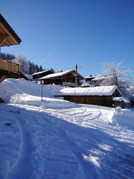 photo 1 Owner direct vacation rental Praz sur Arly appartement Rhone-Alps Haute-Savoie View of the property from outside
