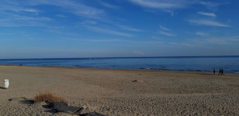 photo 15 Owner direct vacation rental Marseillan appartement Languedoc-Roussillon Hrault Beach