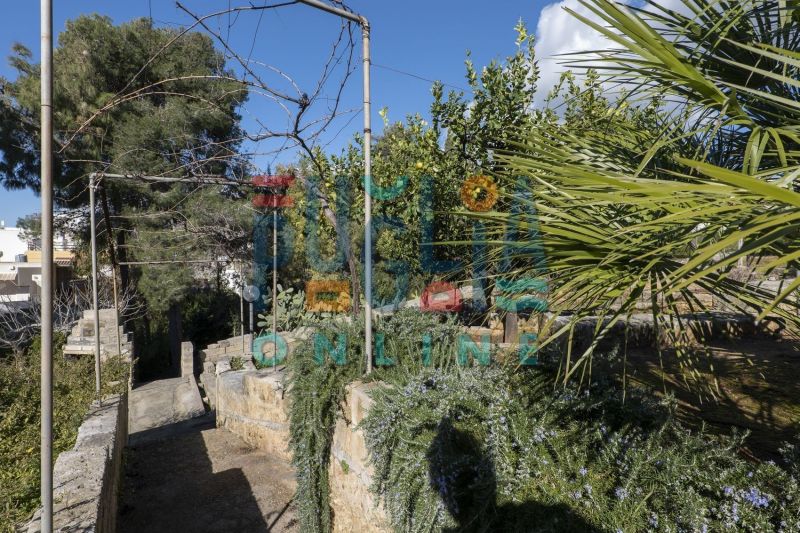 photo 24 Owner direct vacation rental Torre Vado appartement Puglia Lecce Province Garden
