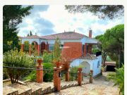 French Mediterranean Coast vacation rentals for 16 people: villa # 128242