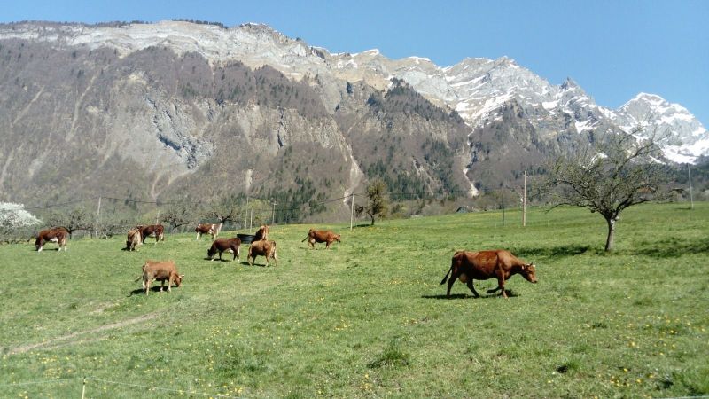 photo 15 Owner direct vacation rental Albertville gite Rhone-Alps Savoie Surroundings