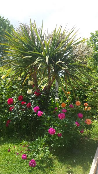 photo 3 Owner direct vacation rental Mont Saint Michel gite Basse-Normandie Manche Garden