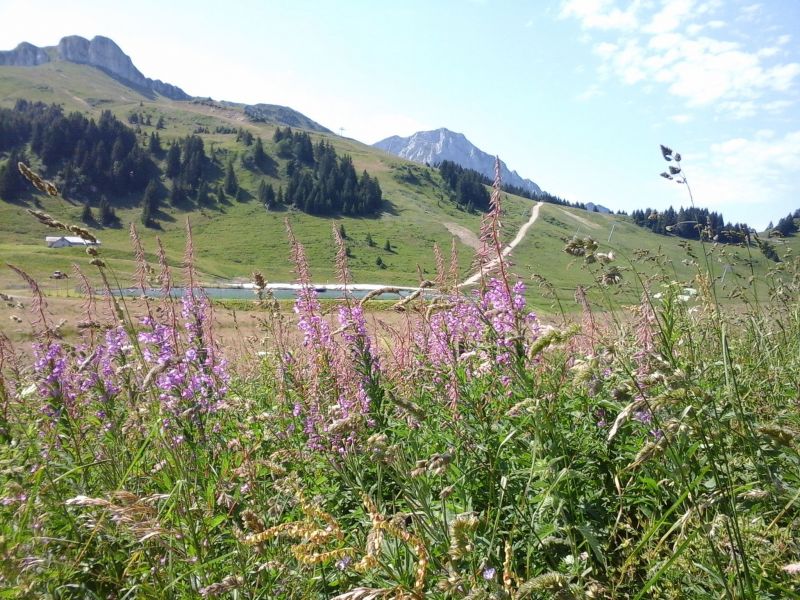 photo 12 Owner direct vacation rental Thollon Les Mmises appartement Rhone-Alps Haute-Savoie